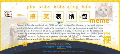 Say Memes in Chinese with Pinyin & Examples.